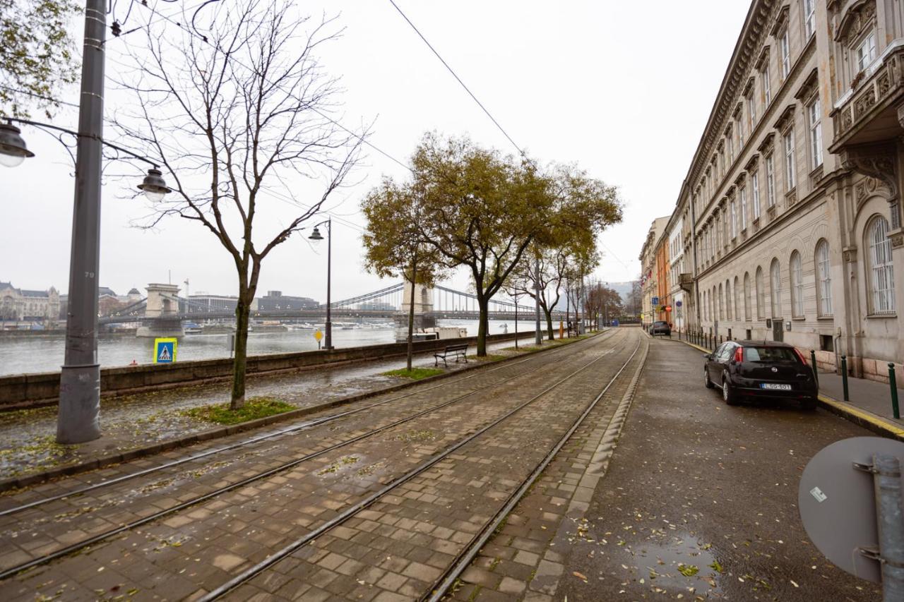 Danube Waterfront View At Chain Bridge Budapeşte Dış mekan fotoğraf